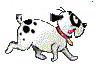 Honden plaatjes Dalmatier 