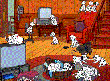 Honden plaatjes Dalmatier 