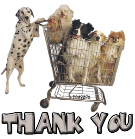 Honden plaatjes Dalmatier 