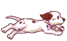 Honden plaatjes Dalmatier 