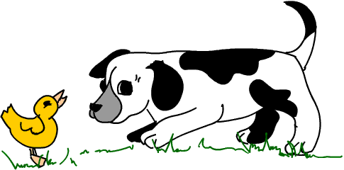 Honden plaatjes Dalmatier 