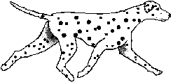 Honden plaatjes Dalmatier Dalmatier Die Snel Loopt