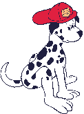 Honden plaatjes Dalmatier 