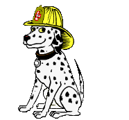 Honden plaatjes Dalmatier 