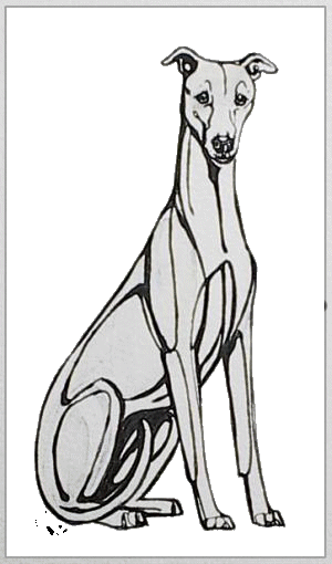 Honden plaatjes Hazewind honden 