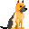 Honden plaatjes Herdershond 