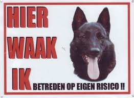 Honden plaatjes Hollandse herder 