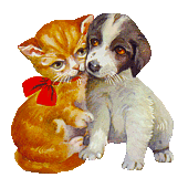 Honden plaatjes Hond en poes 