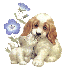 Honden plaatjes Hond en poes 