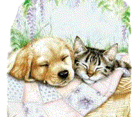 Honden plaatjes Hond en poes 