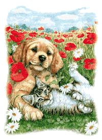 Honden plaatjes Hond en poes 
