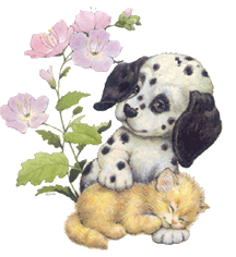 Honden plaatjes Hond en poes 