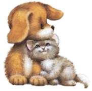 Honden plaatjes Hond en poes 