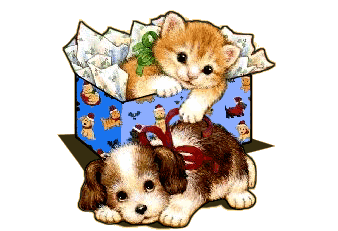 Honden plaatjes Hond en poes 
