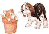 Honden plaatjes Hond en poes 