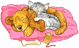 Honden plaatjes Hond en poes 