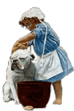 Honden plaatjes Honden bad 