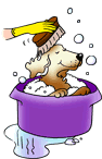 Honden plaatjes Honden bad 