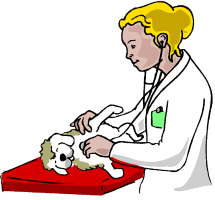 Honden plaatjes Honden dokter 