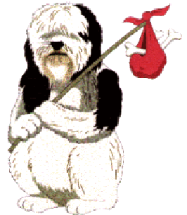 Honden plaatjes Honden grappig 