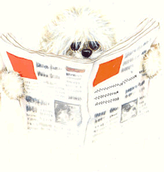 Honden plaatjes Honden krant brengen 