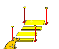 Honden plaatjes Honden training 
