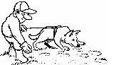 Honden plaatjes Honden training 