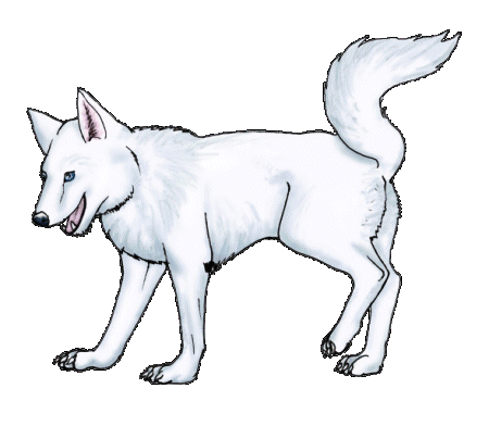 Honden plaatjes Husky 