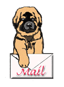 Honden plaatjes Leonberger 