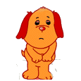 Honden plaatjes Overige 