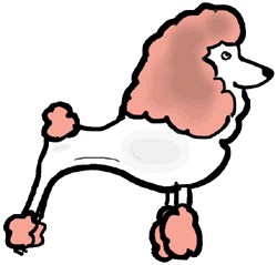 Honden plaatjes Poedel Koningspoedel