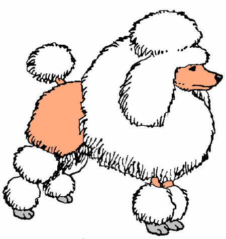Honden plaatjes Poedel 