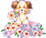 Honden plaatjes Puppy 