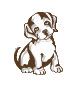 Honden plaatjes Puppy 