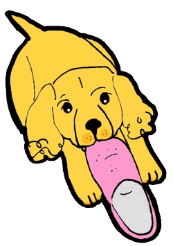 Honden plaatjes Puppy 