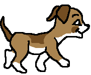 Honden plaatjes Puppy 