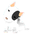 Honden plaatjes Puppy 
