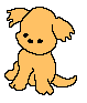 Honden plaatjes Puppy 