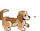 Honden plaatjes Puppy 