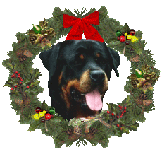 Honden plaatjes Rotweiler 