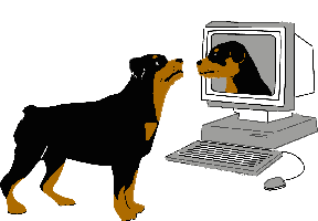 Honden plaatjes Rotweiler 