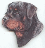 Honden plaatjes Rotweiler 