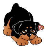 Honden plaatjes Rotweiler 
