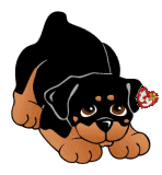 Honden plaatjes Rotweiler 