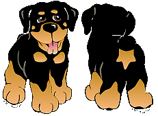 Honden plaatjes Rotweiler 