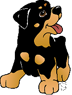 Honden plaatjes Rotweiler 