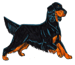 Honden plaatjes Setters 