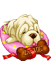 Honden plaatjes Sharpei 