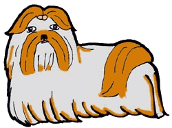 Honden plaatjes Shih zhu 