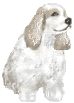 Honden plaatjes Spaniel 